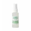 FacialSprayAloeAdaptogensCoconutWater2oz_4ecf_thumbnail